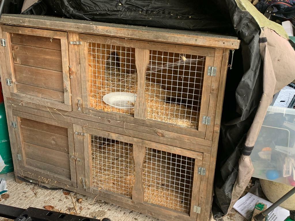 gumtree guinea pig hutch